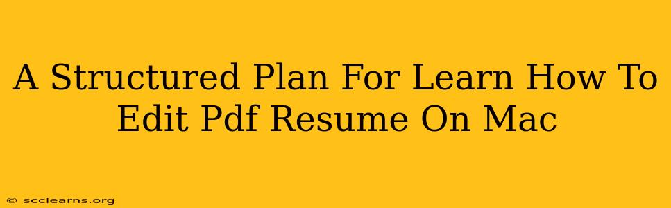 A Structured Plan For Learn How To Edit Pdf Resume On Mac