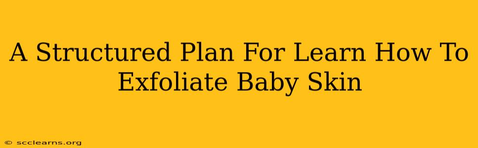 A Structured Plan For Learn How To Exfoliate Baby Skin