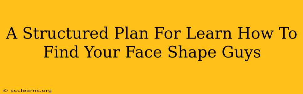 A Structured Plan For Learn How To Find Your Face Shape Guys