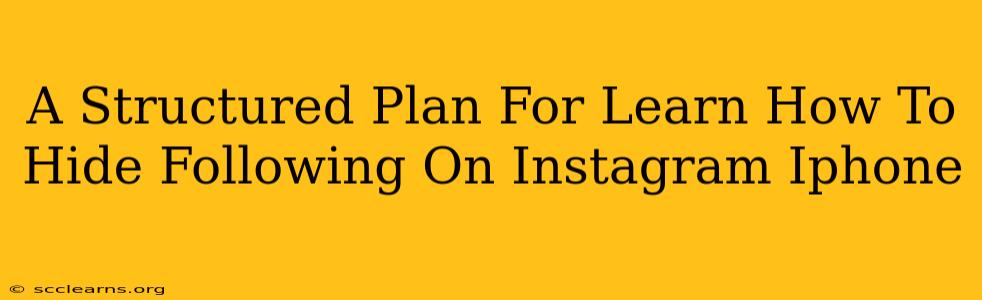 A Structured Plan For Learn How To Hide Following On Instagram Iphone