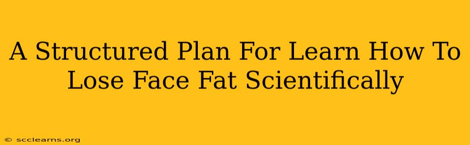 A Structured Plan For Learn How To Lose Face Fat Scientifically