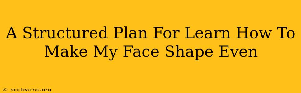 A Structured Plan For Learn How To Make My Face Shape Even