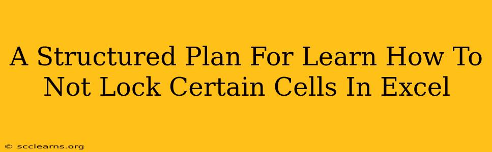 A Structured Plan For Learn How To Not Lock Certain Cells In Excel