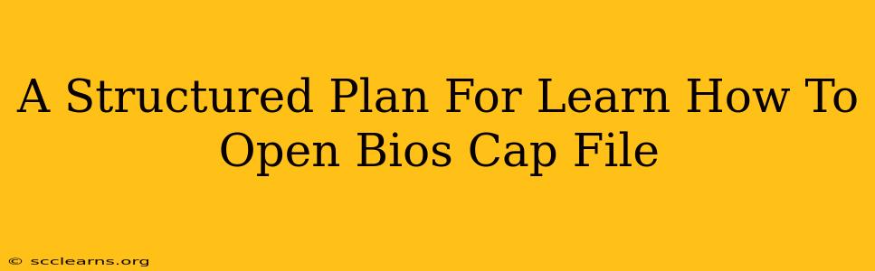 A Structured Plan For Learn How To Open Bios Cap File