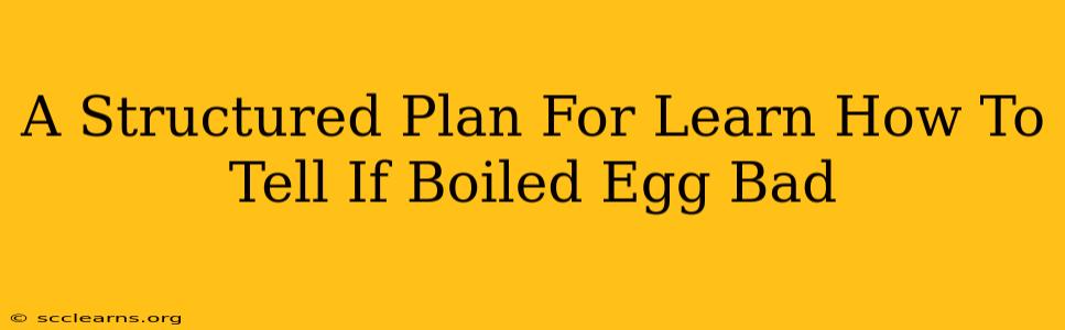 A Structured Plan For Learn How To Tell If Boiled Egg Bad