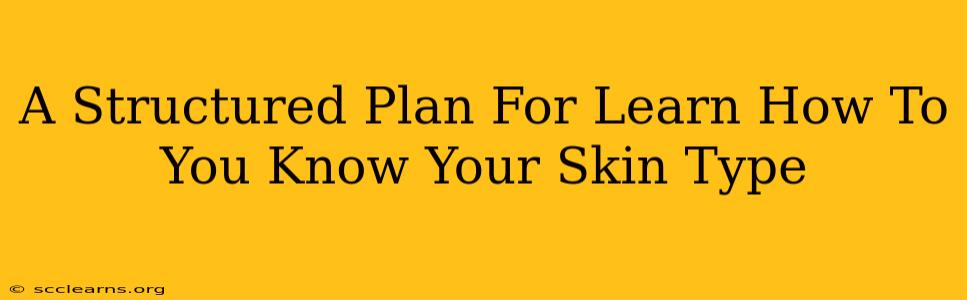 A Structured Plan For Learn How To You Know Your Skin Type