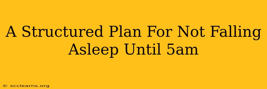 A Structured Plan For Not Falling Asleep Until 5am