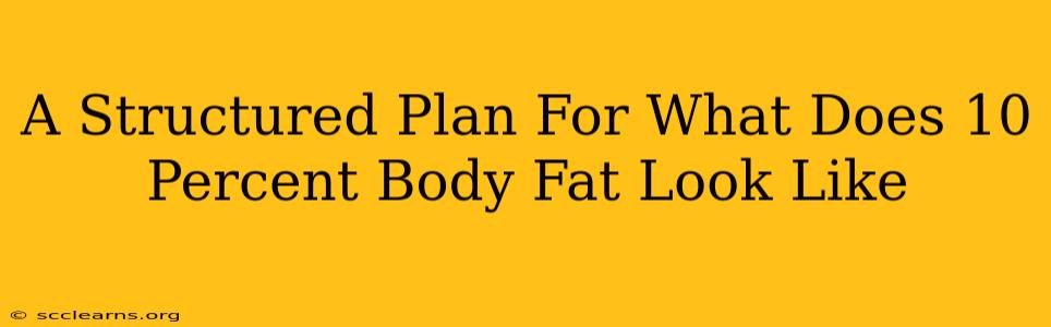 A Structured Plan For What Does 10 Percent Body Fat Look Like