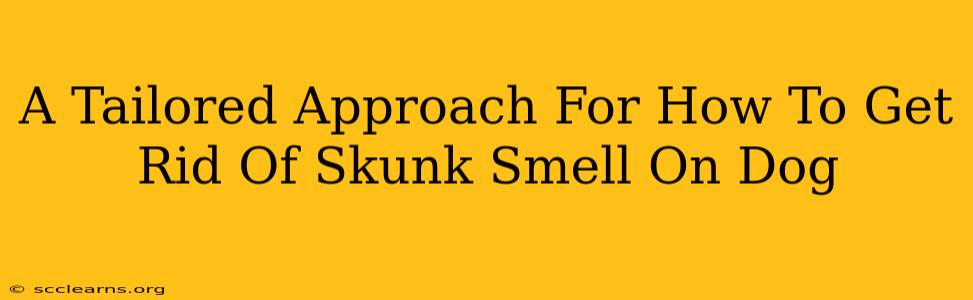 A Tailored Approach For How To Get Rid Of Skunk Smell On Dog