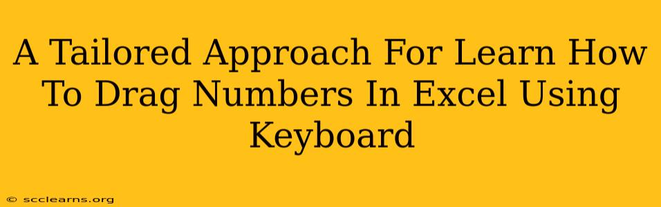 A Tailored Approach For Learn How To Drag Numbers In Excel Using Keyboard