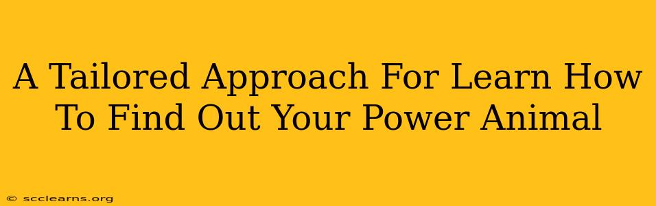 A Tailored Approach For Learn How To Find Out Your Power Animal