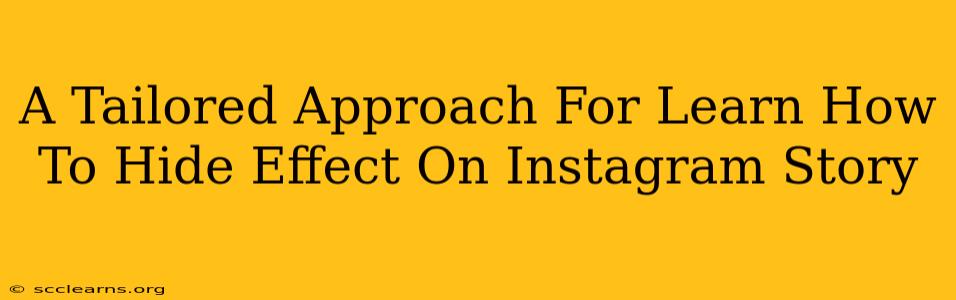 A Tailored Approach For Learn How To Hide Effect On Instagram Story