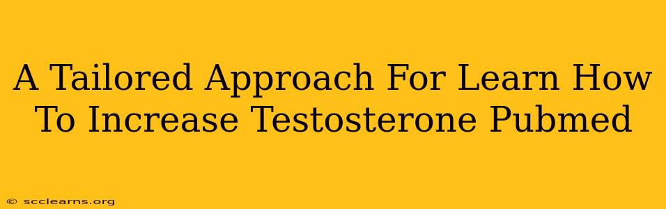 A Tailored Approach For Learn How To Increase Testosterone Pubmed