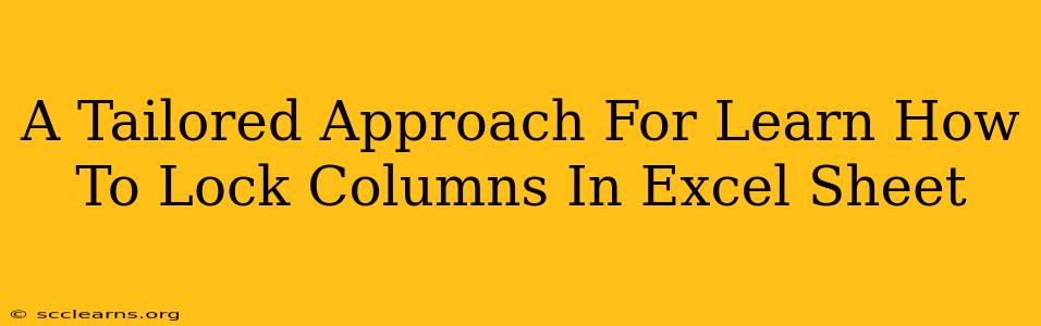 A Tailored Approach For Learn How To Lock Columns In Excel Sheet