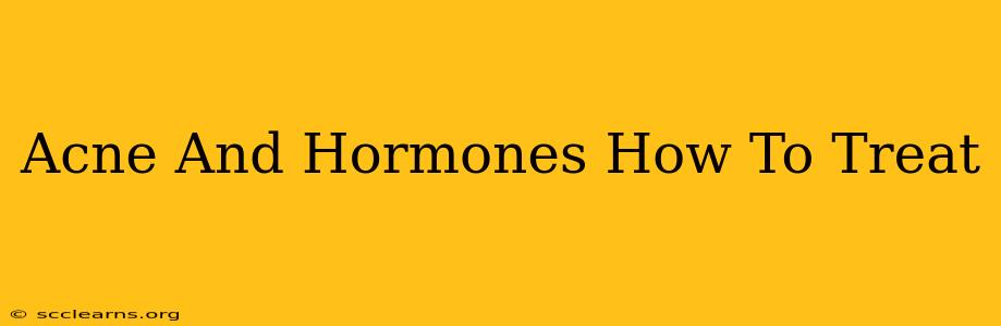 Acne And Hormones How To Treat