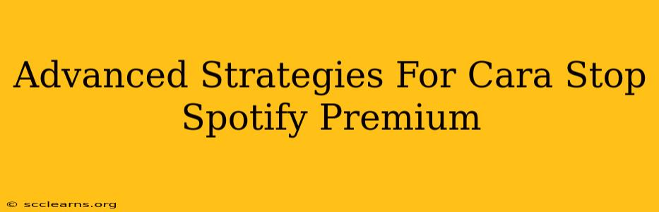 Advanced Strategies For Cara Stop Spotify Premium