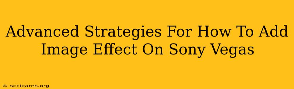 Advanced Strategies For How To Add Image Effect On Sony Vegas