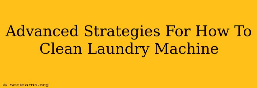 Advanced Strategies For How To Clean Laundry Machine