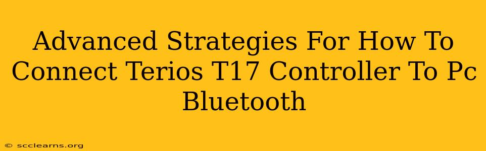 Advanced Strategies For How To Connect Terios T17 Controller To Pc Bluetooth