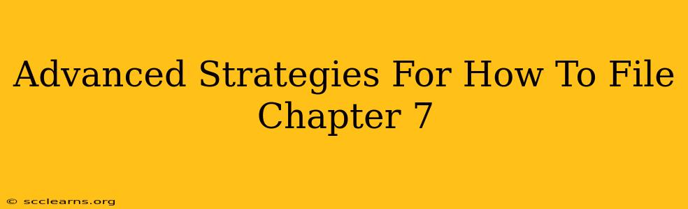 Advanced Strategies For How To File Chapter 7