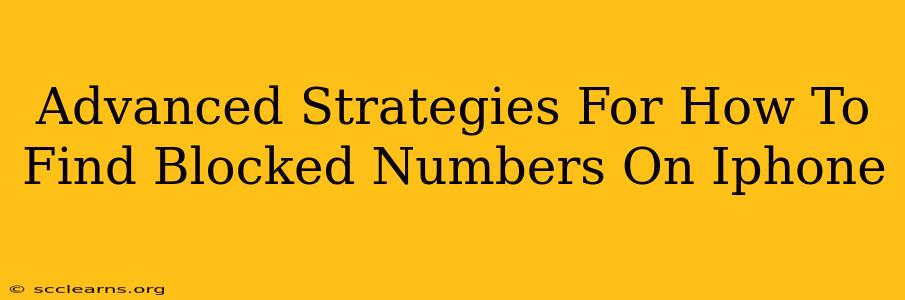 Advanced Strategies For How To Find Blocked Numbers On Iphone