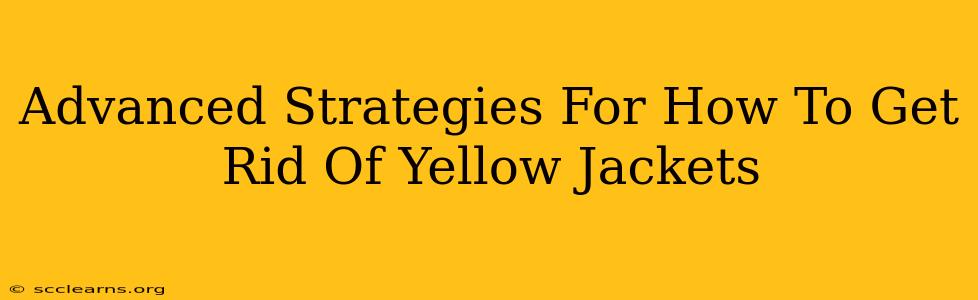 Advanced Strategies For How To Get Rid Of Yellow Jackets