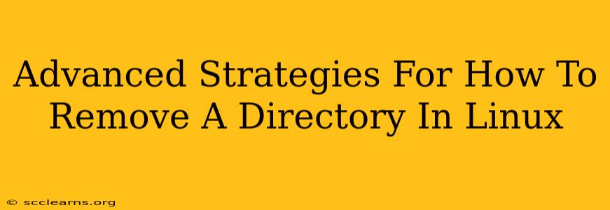 Advanced Strategies For How To Remove A Directory In Linux