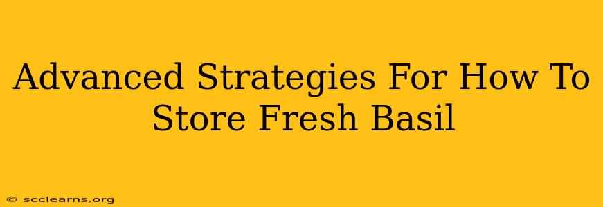 Advanced Strategies For How To Store Fresh Basil