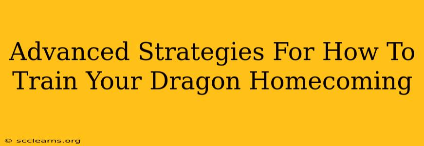 Advanced Strategies For How To Train Your Dragon Homecoming