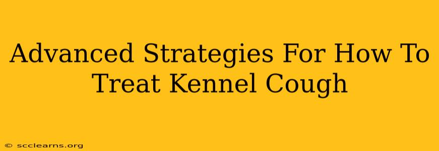 Advanced Strategies For How To Treat Kennel Cough