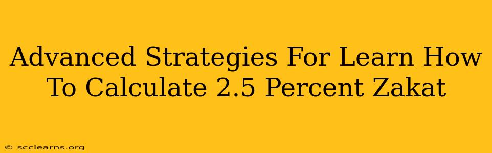 Advanced Strategies For Learn How To Calculate 2.5 Percent Zakat