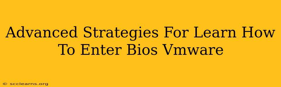 Advanced Strategies For Learn How To Enter Bios Vmware