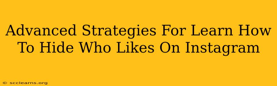 Advanced Strategies For Learn How To Hide Who Likes On Instagram