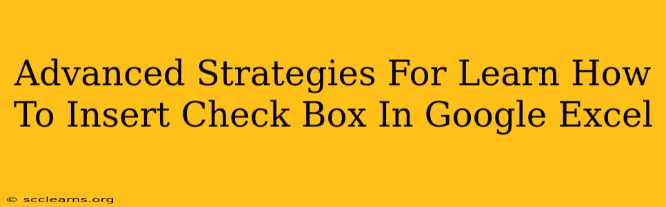 Advanced Strategies For Learn How To Insert Check Box In Google Excel