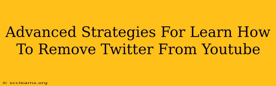 Advanced Strategies For Learn How To Remove Twitter From Youtube