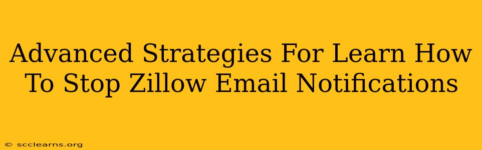 Advanced Strategies For Learn How To Stop Zillow Email Notifications