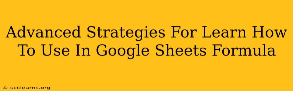 Advanced Strategies For Learn How To Use In Google Sheets Formula