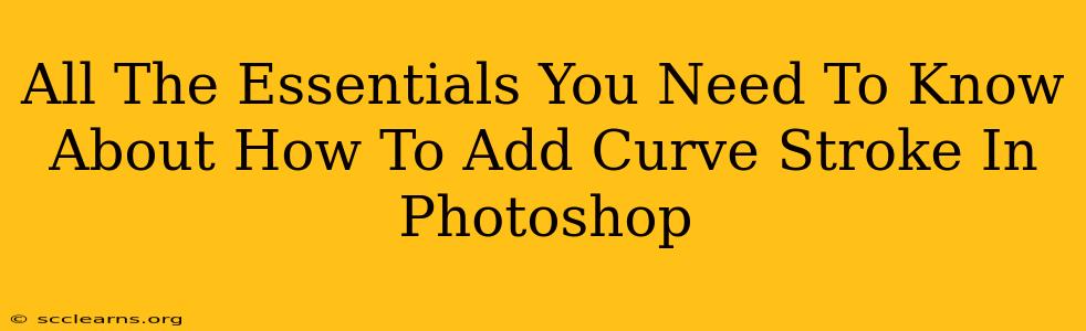 All The Essentials You Need To Know About How To Add Curve Stroke In Photoshop