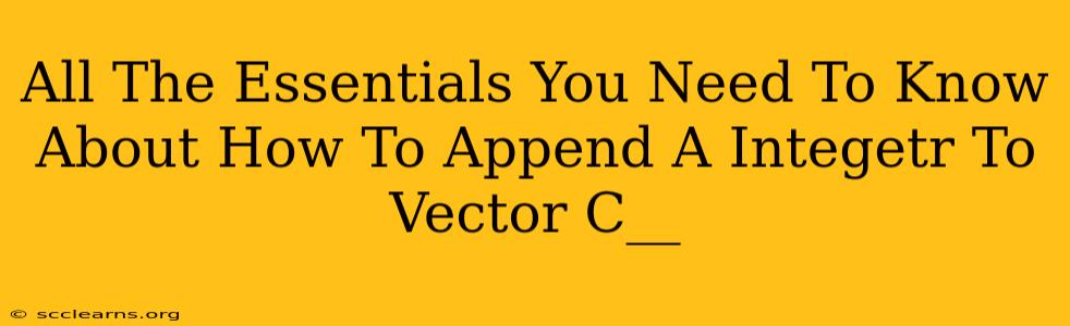 All The Essentials You Need To Know About How To Append A Integetr To Vector C__