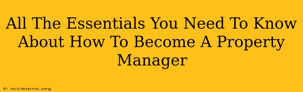 All The Essentials You Need To Know About How To Become A Property Manager