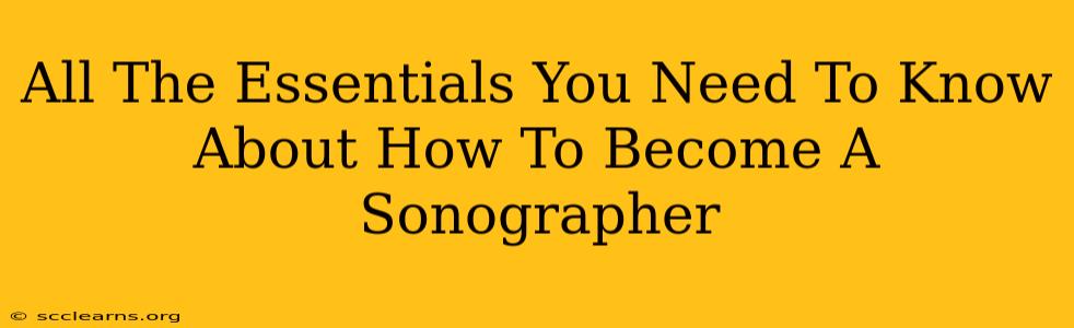 All The Essentials You Need To Know About How To Become A Sonographer