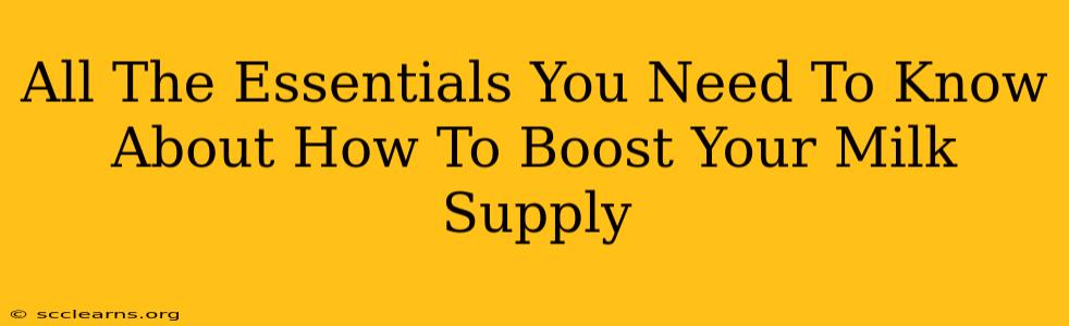 All The Essentials You Need To Know About How To Boost Your Milk Supply