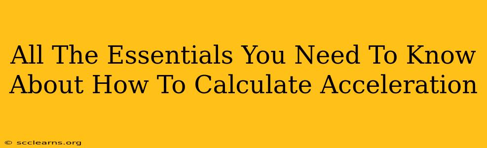 All The Essentials You Need To Know About How To Calculate Acceleration