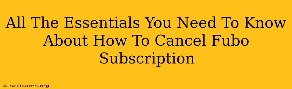 All The Essentials You Need To Know About How To Cancel Fubo Subscription