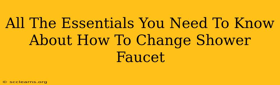 All The Essentials You Need To Know About How To Change Shower Faucet