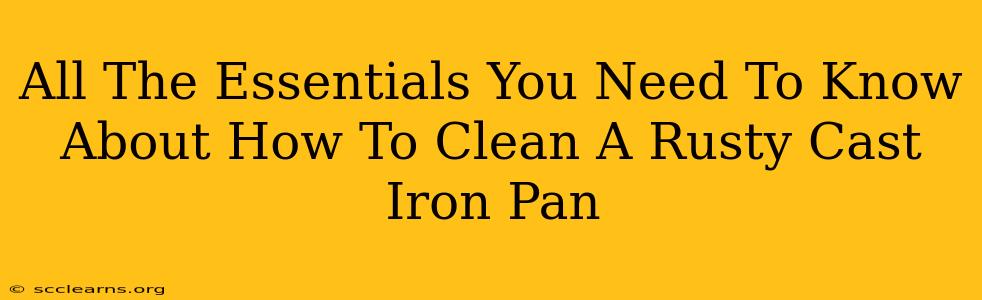 All The Essentials You Need To Know About How To Clean A Rusty Cast Iron Pan