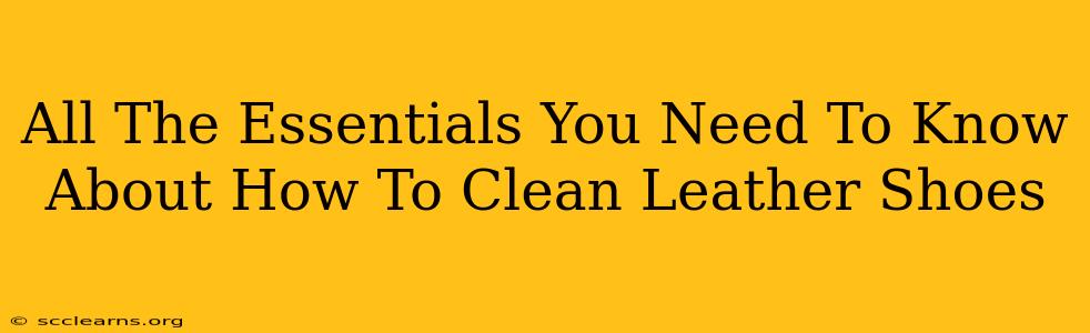 All The Essentials You Need To Know About How To Clean Leather Shoes