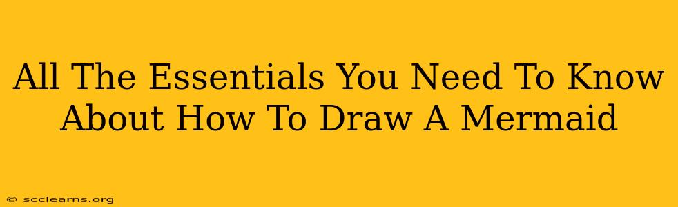 All The Essentials You Need To Know About How To Draw A Mermaid