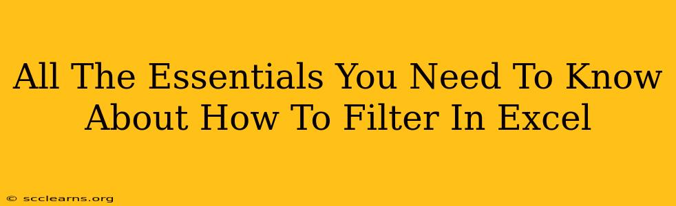 All The Essentials You Need To Know About How To Filter In Excel