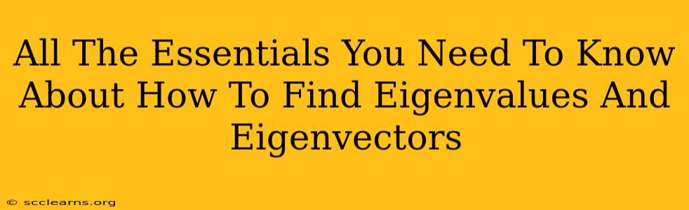 All The Essentials You Need To Know About How To Find Eigenvalues And Eigenvectors